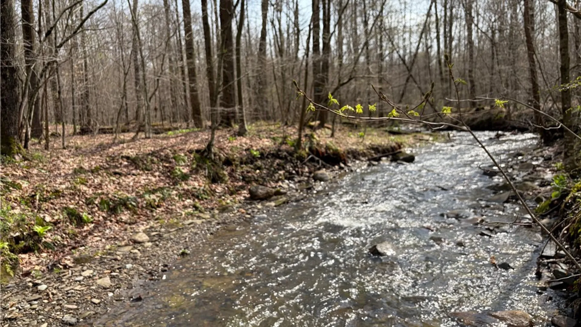 Property at West Hill Road, Ellington, NY 14740 7