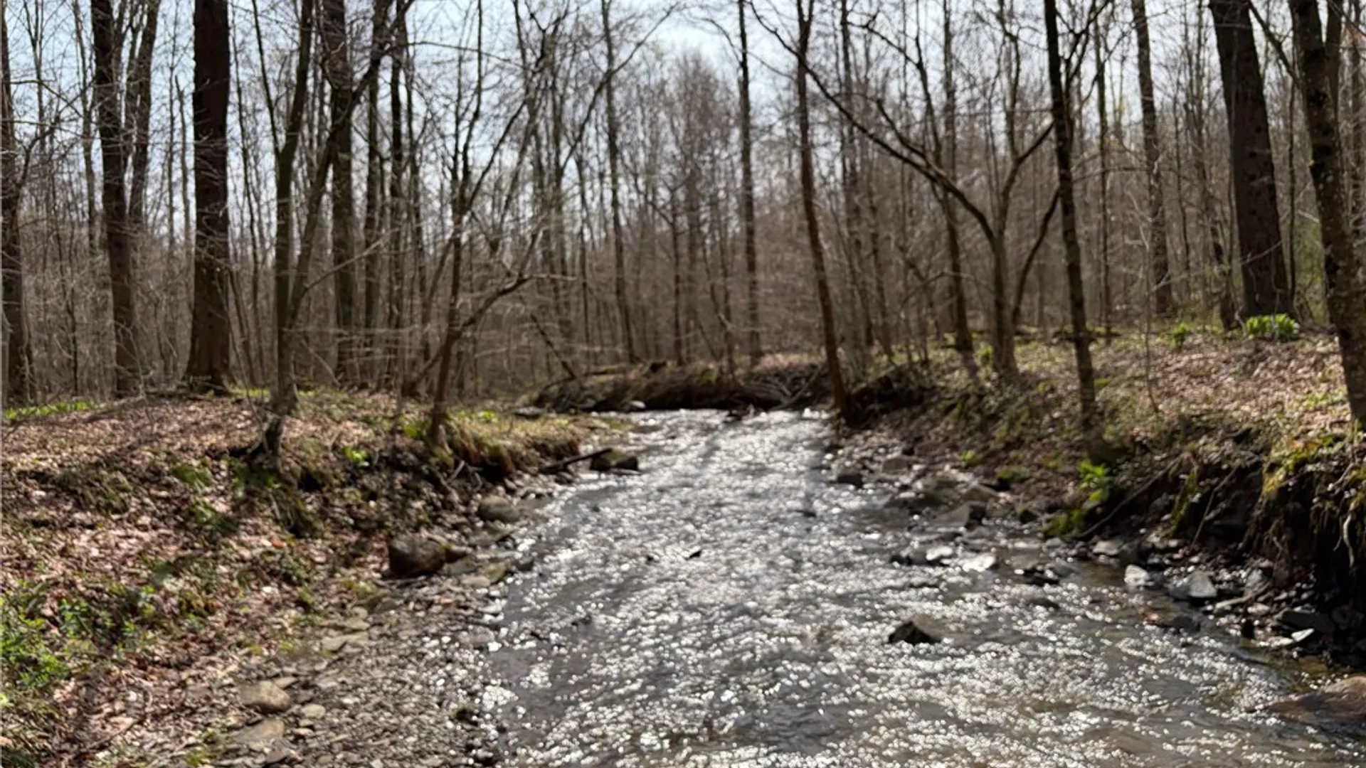 Property at West Hill Road, Ellington, NY 14740 8