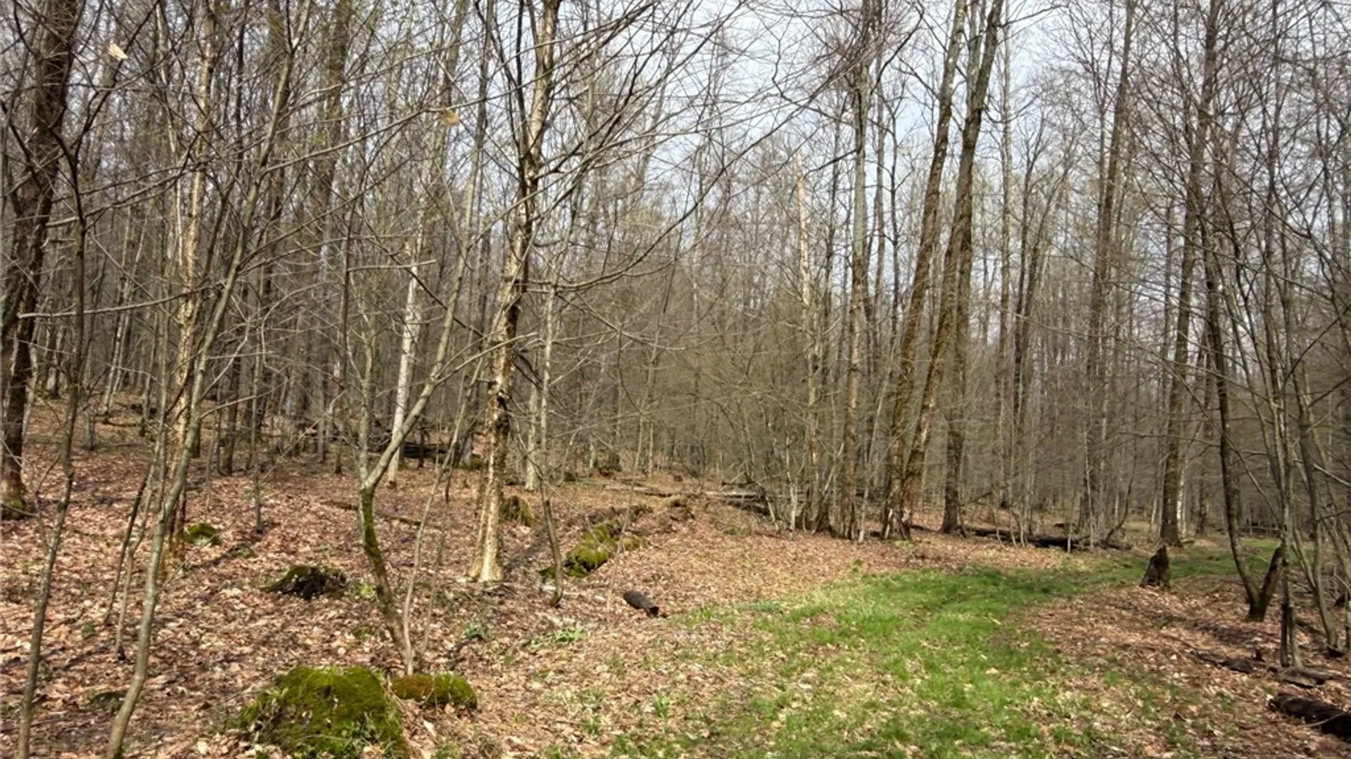 Property at West Hill Road, Ellington, NY 14740 9