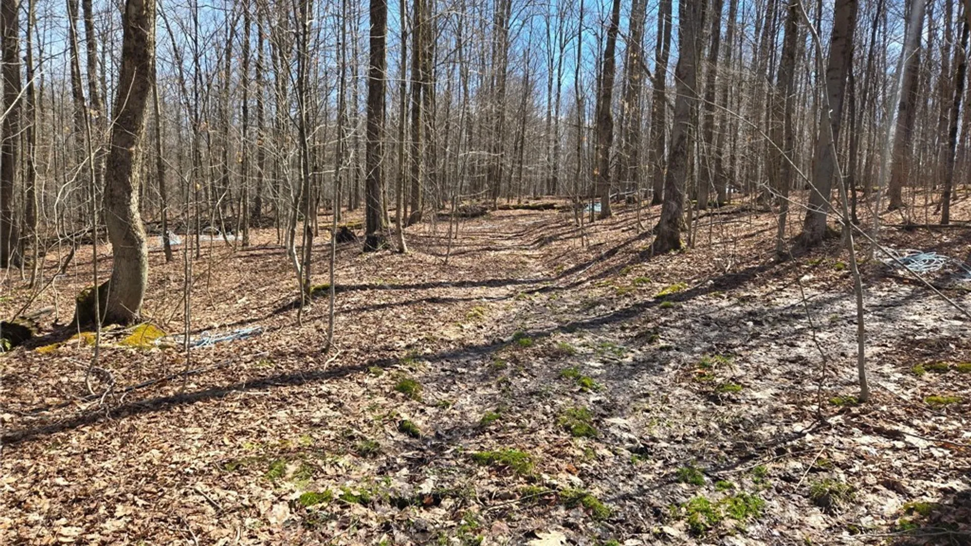 Property at 00 West Cobb Road, Poland, NY 14733 3