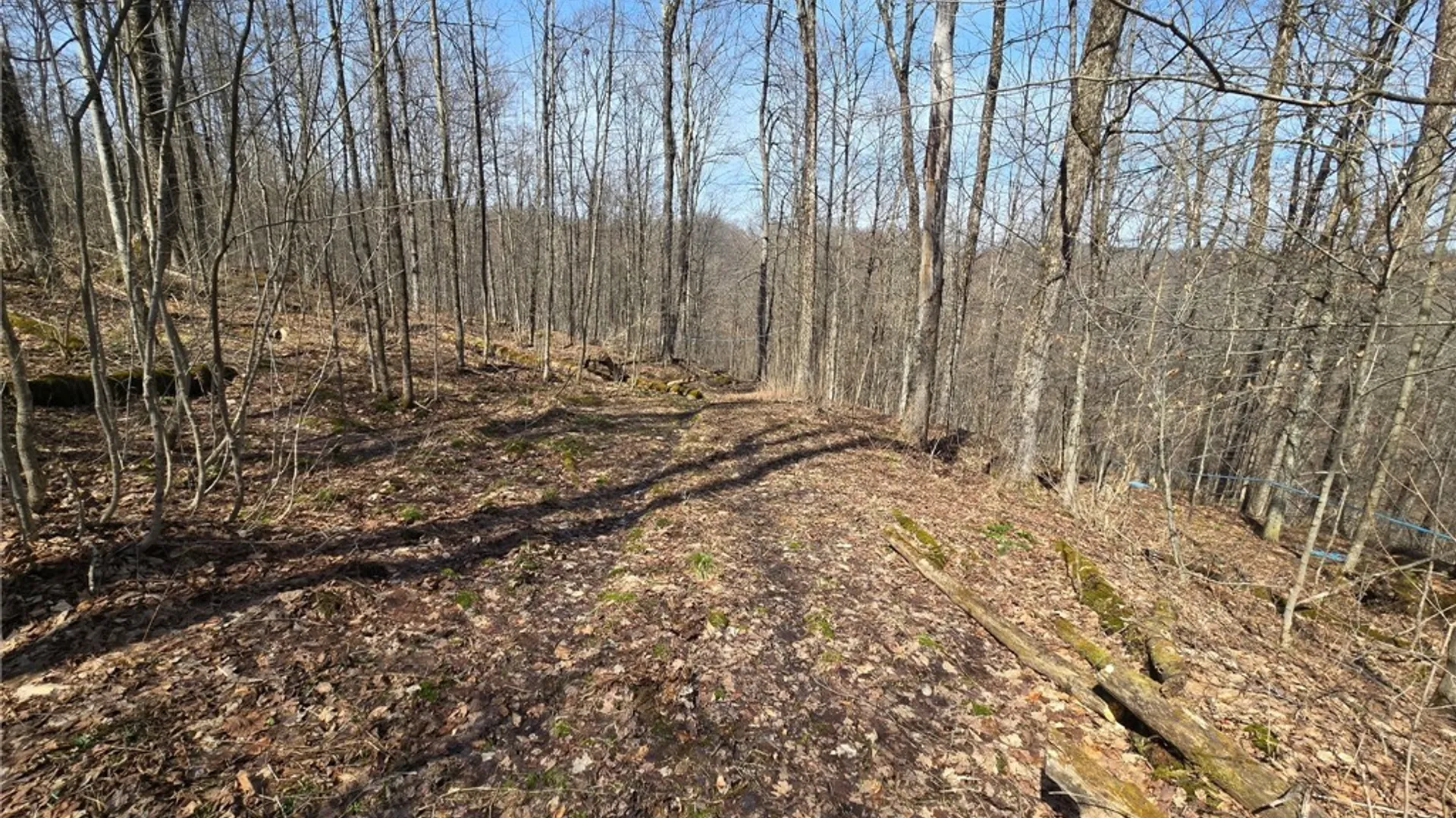Property at 00 West Cobb Road, Poland, NY 14733 4
