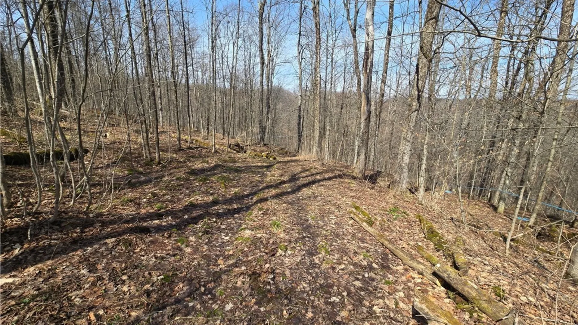 Property at 00 West Cobb Road, Poland, NY 14733 5