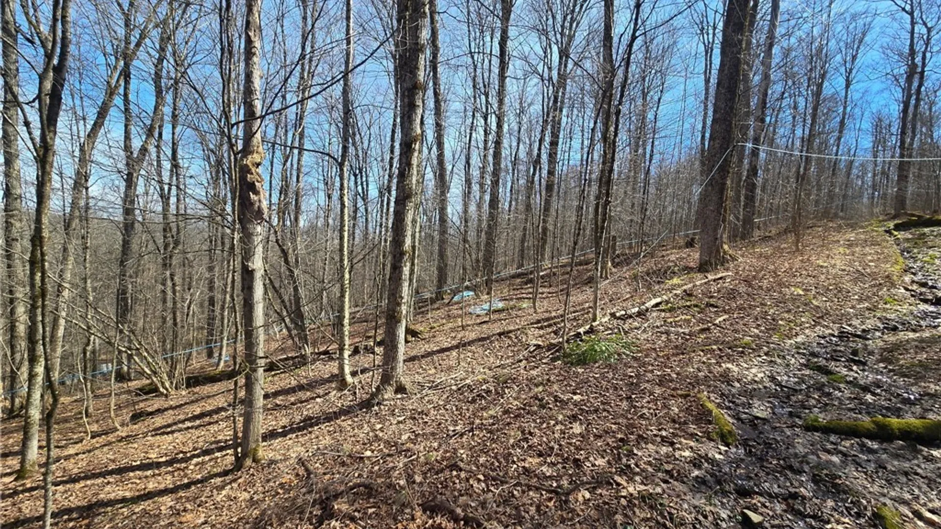 Property at 00 West Cobb Road, Poland, NY 14733 6