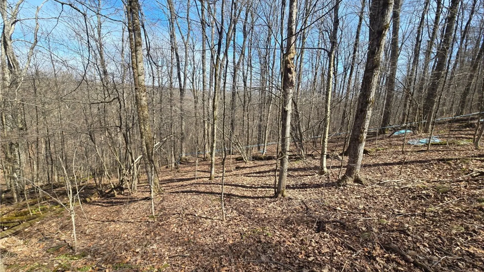 Property at 00 West Cobb Road, Poland, NY 14733 7