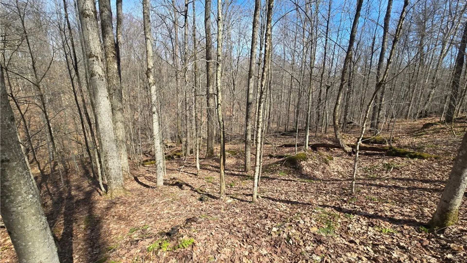 Property at 00 West Cobb Road, Poland, NY 14733 8