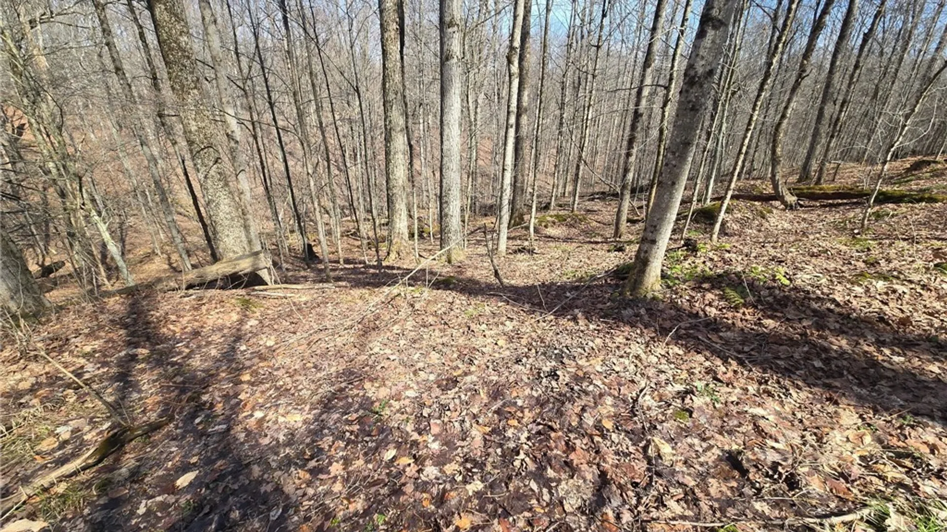 Property at 00 West Cobb Road, Poland, NY 14733 9
