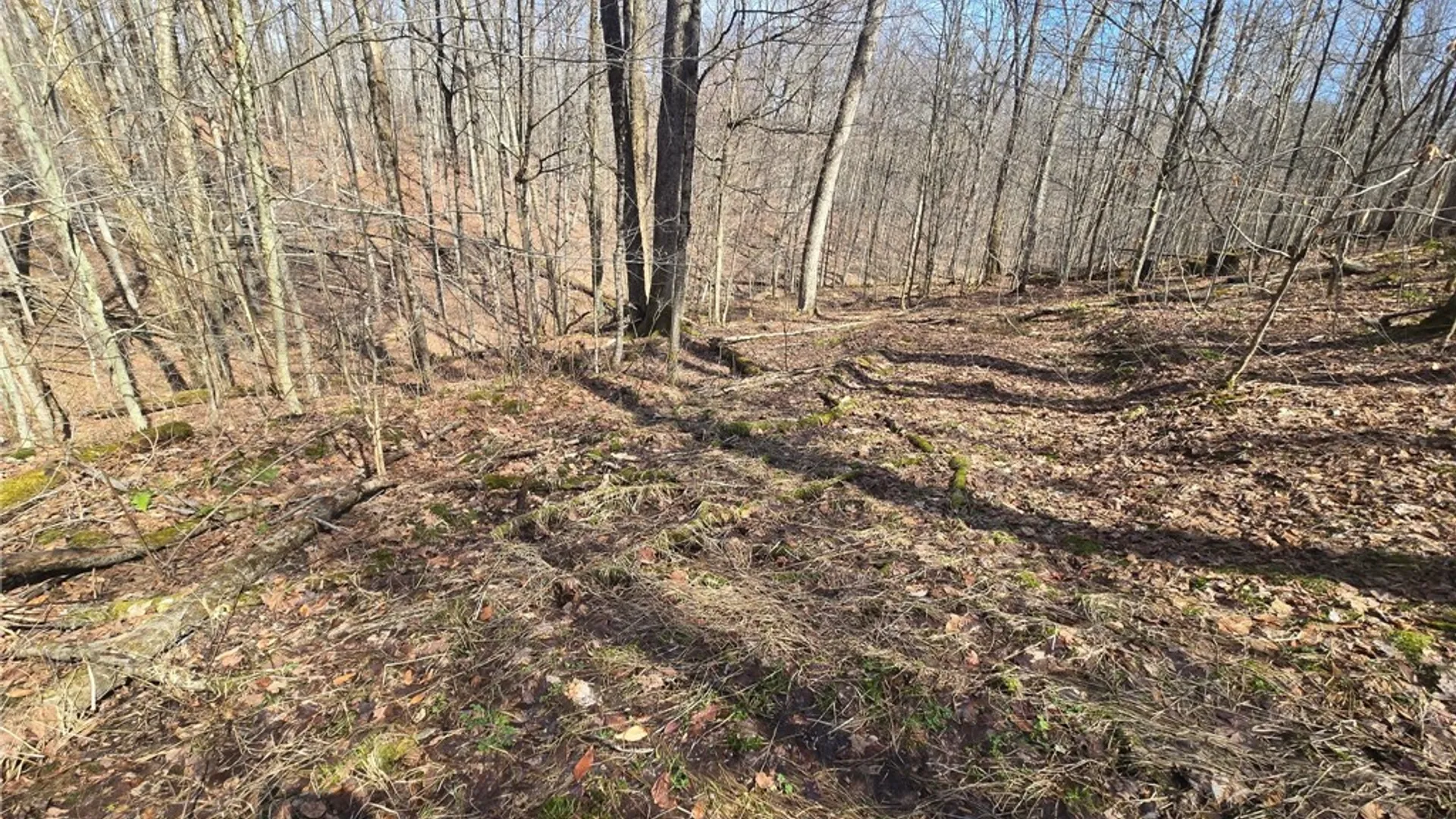 Property at 00 West Cobb Road, Poland, NY 14733 10