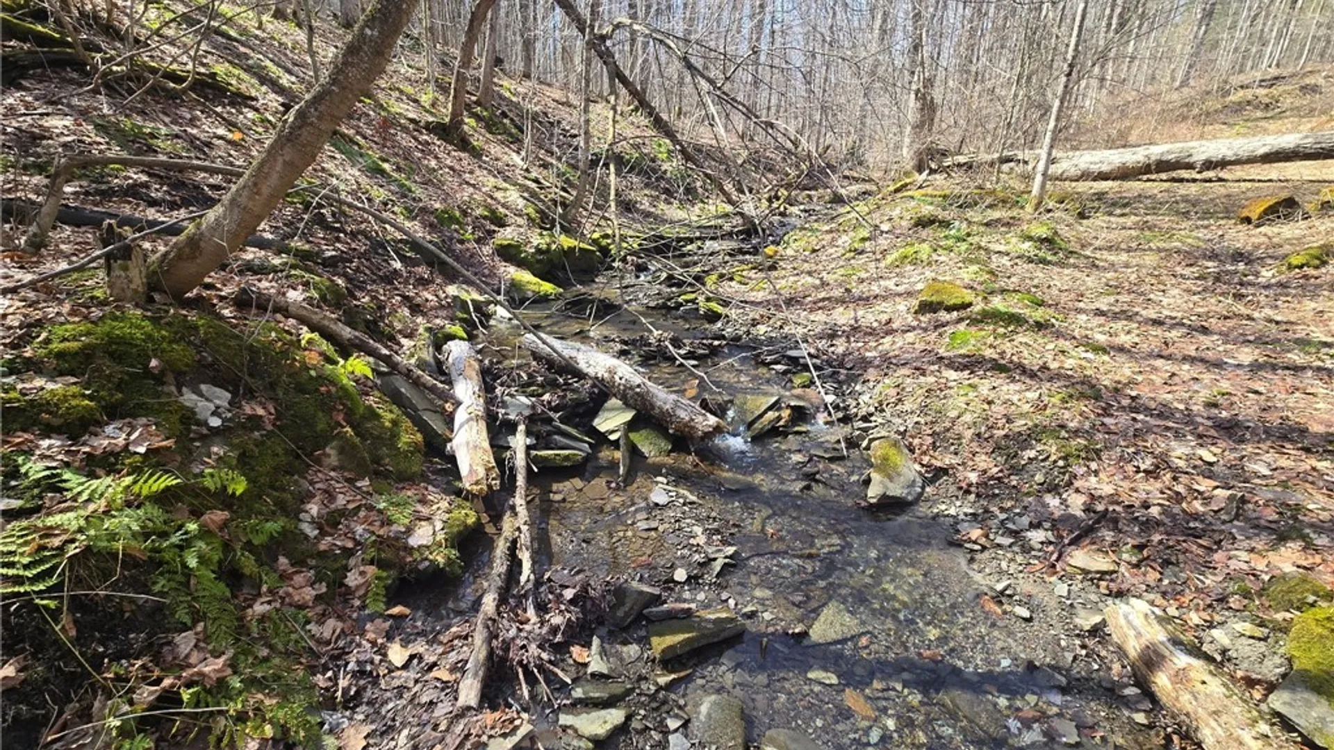 Property at 00 West Cobb Road, Poland, NY 14733 11