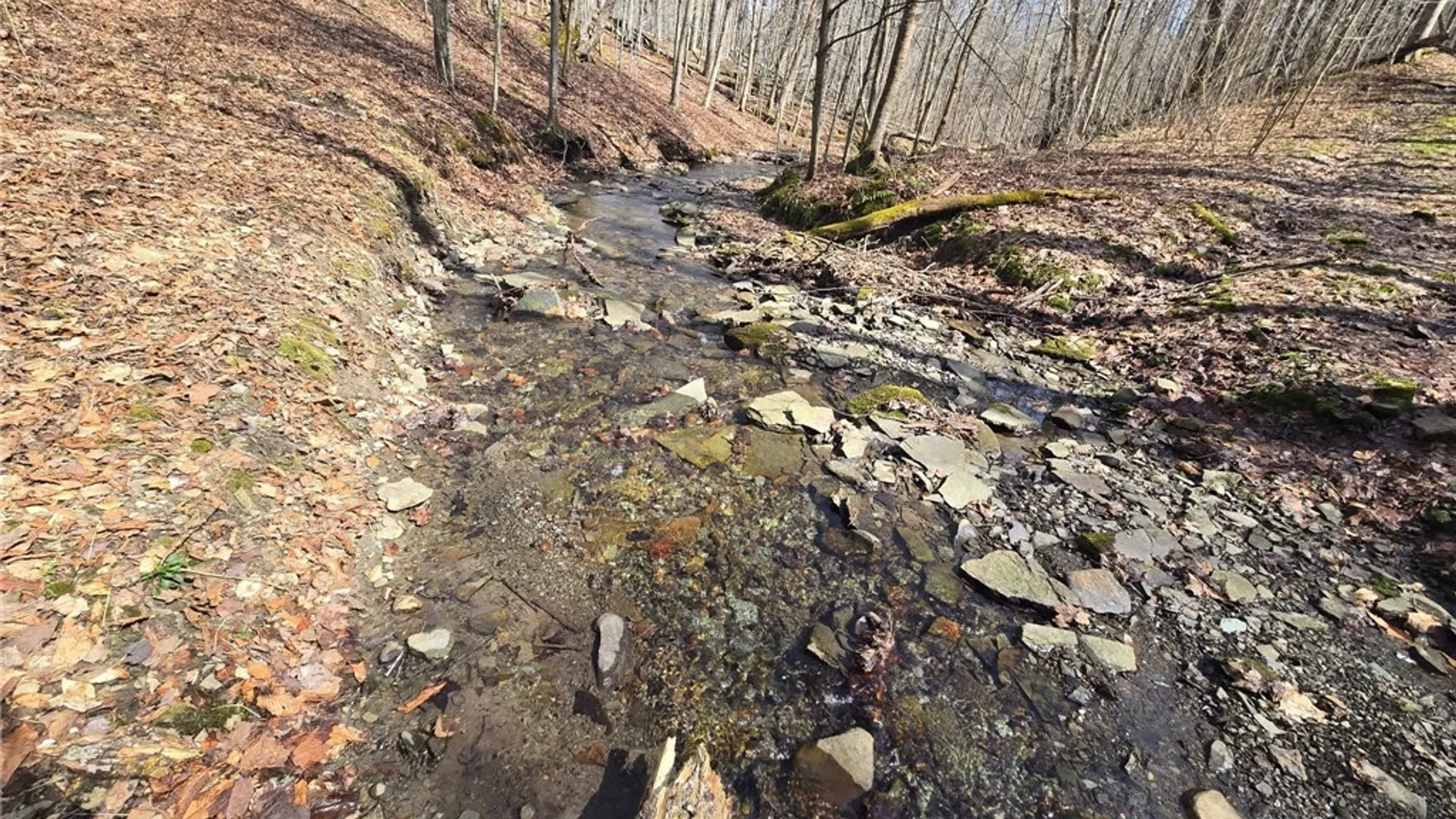 Property at 00 West Cobb Road, Poland, NY 14733 12