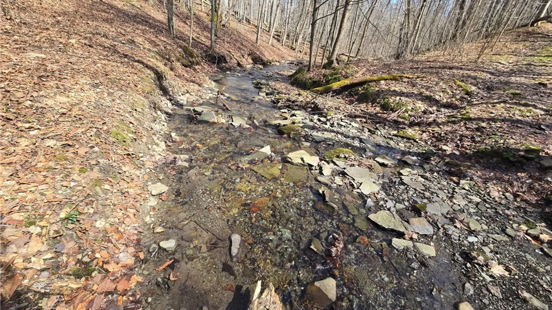 Property at 00 West Cobb Road, Poland, NY 14733 13