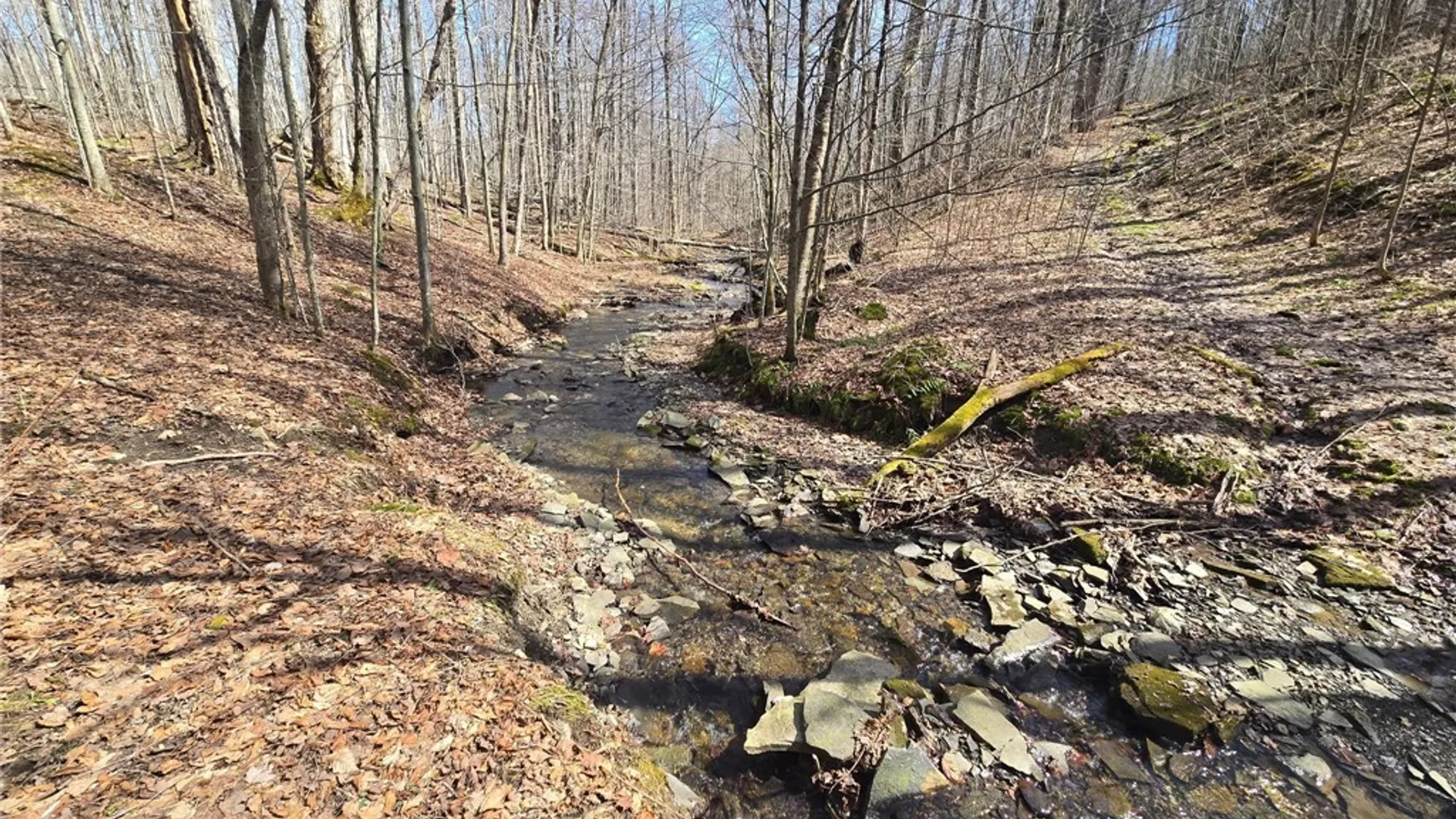 Property at 00 West Cobb Road, Poland, NY 14733 14