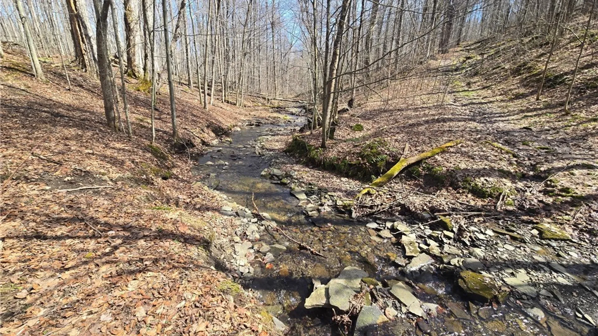 Property at 00 West Cobb Road, Poland, NY 14733 15