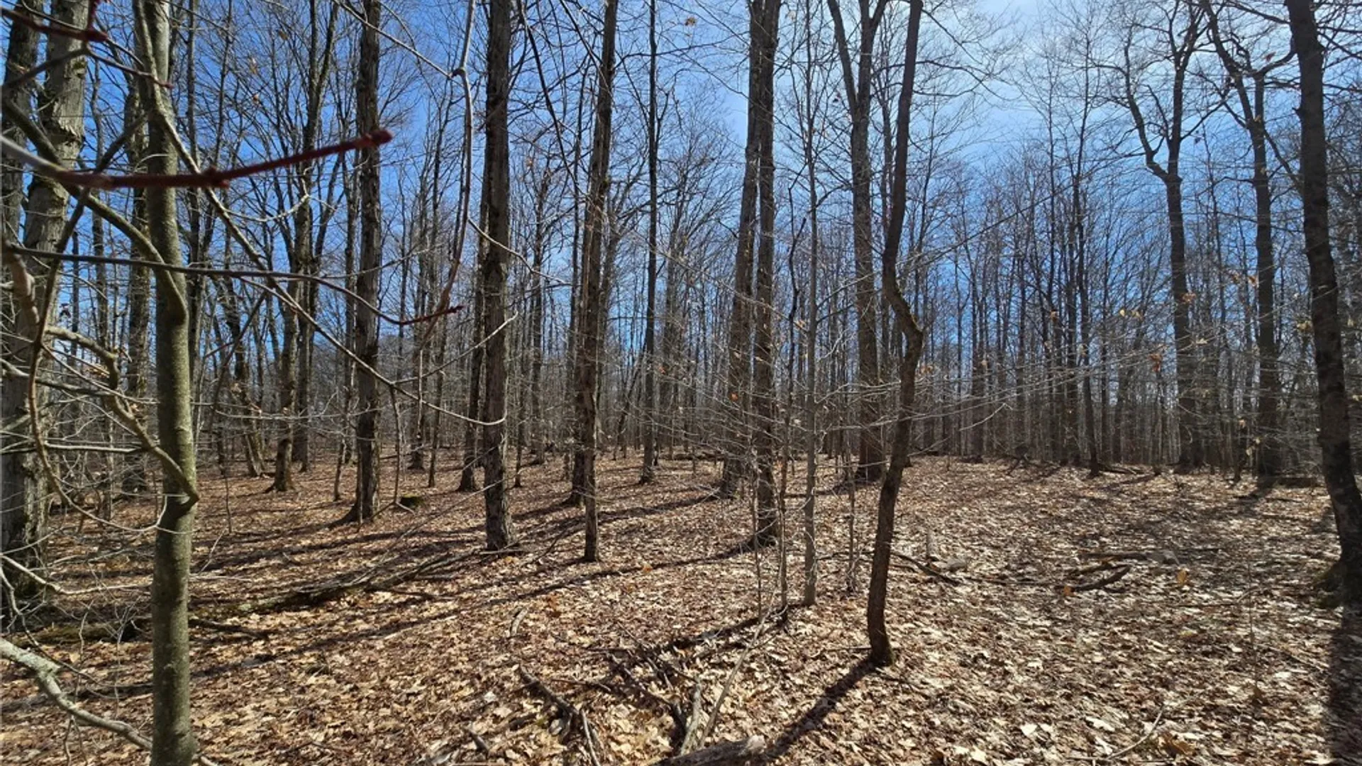 Property at 00 West Cobb Road, Poland, NY 14733 17
