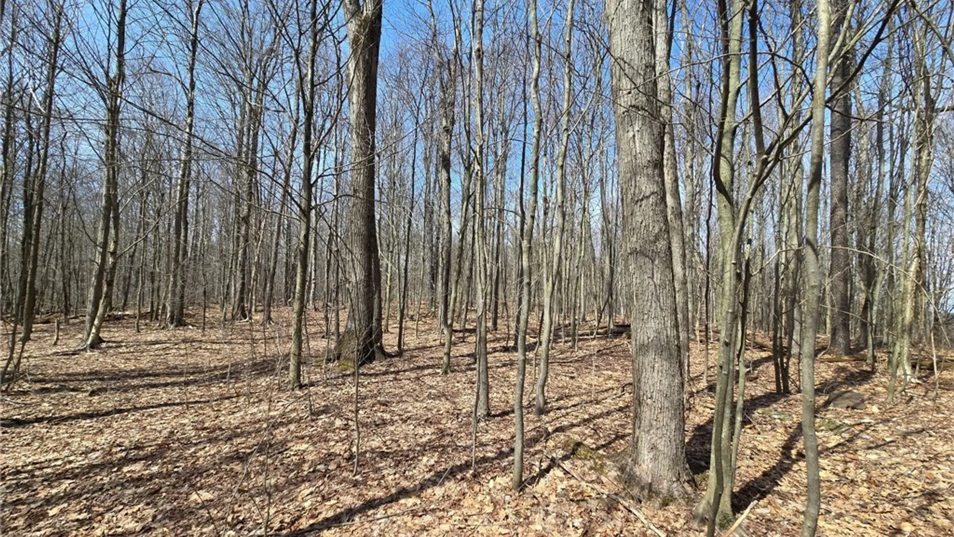 Property at 00 West Cobb Road, Poland, NY 14733 18