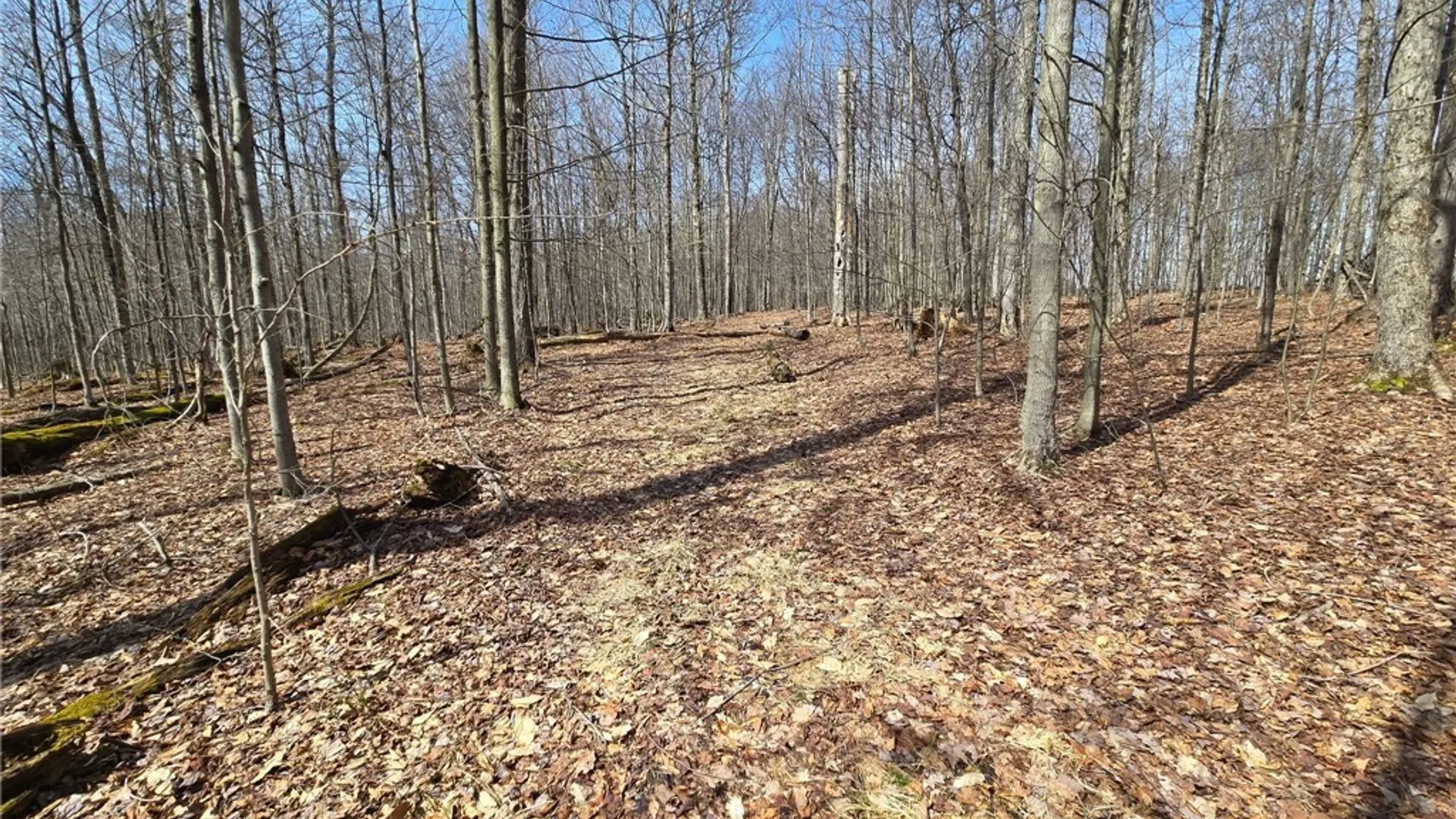 Property at 00 West Cobb Road, Poland, NY 14733 26