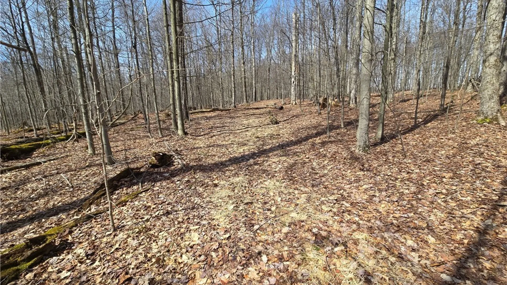 Property at 00 West Cobb Road, Poland, NY 14733 27