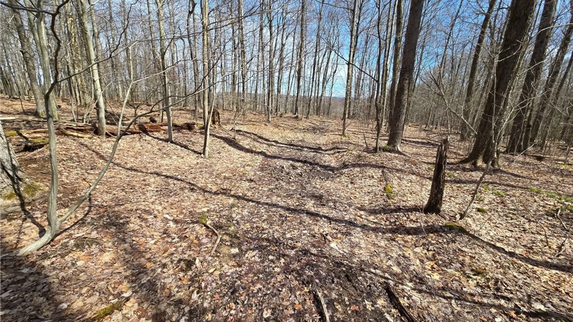 Property at 00 West Cobb Road, Poland, NY 14733 29