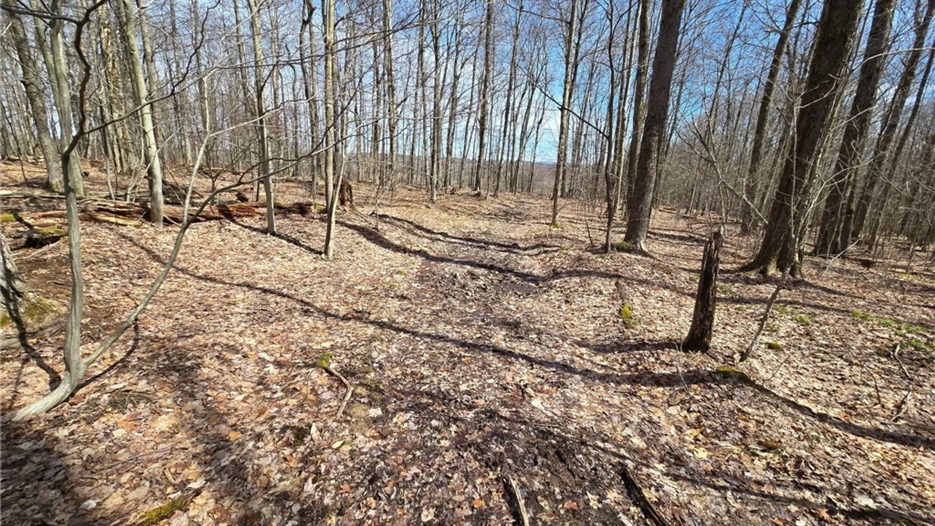 Property at 00 West Cobb Road, Poland, NY 14733 30
