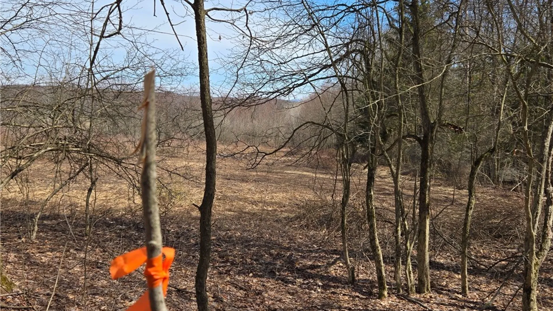Property at 00 West Cobb Road, Poland, NY 14733 31