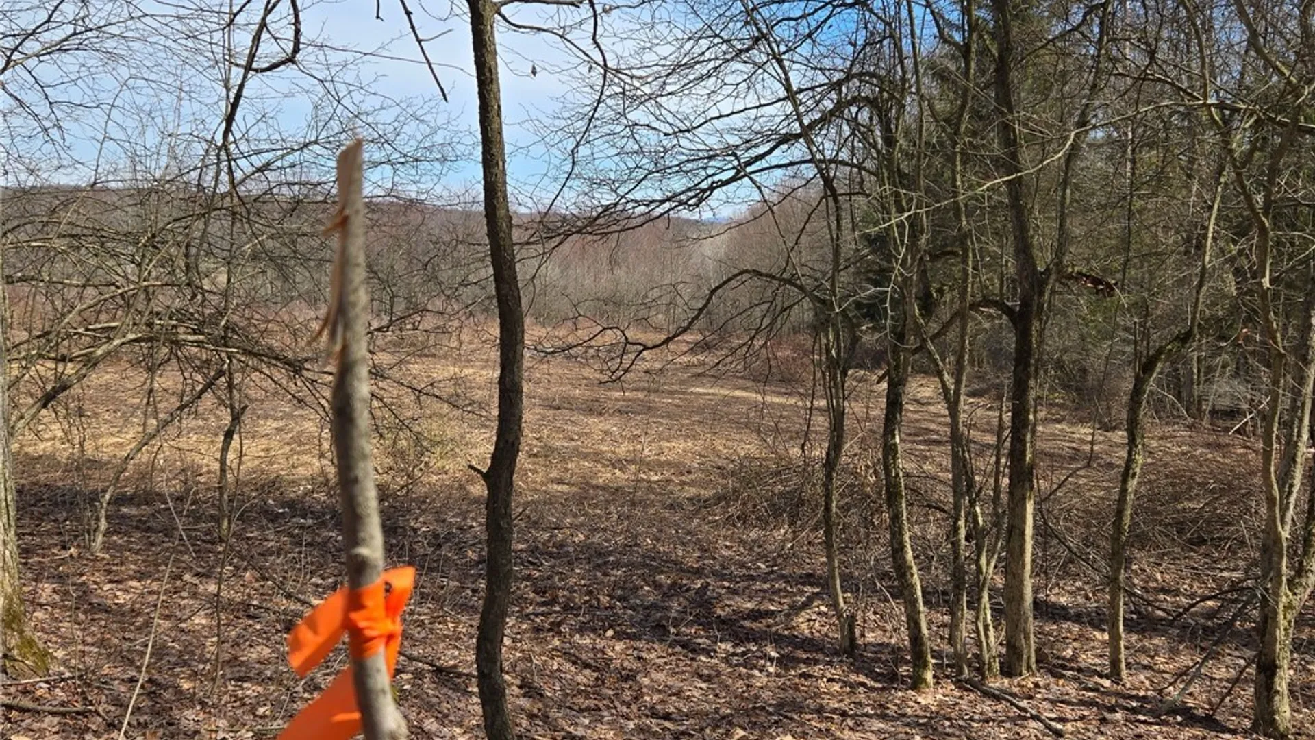 Property at 00 West Cobb Road, Poland, NY 14733 32