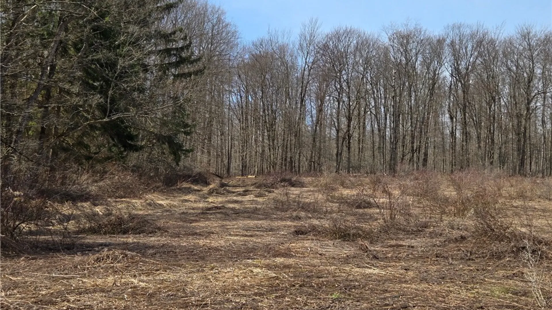 Property at 00 West Cobb Road, Poland, NY 14733 33