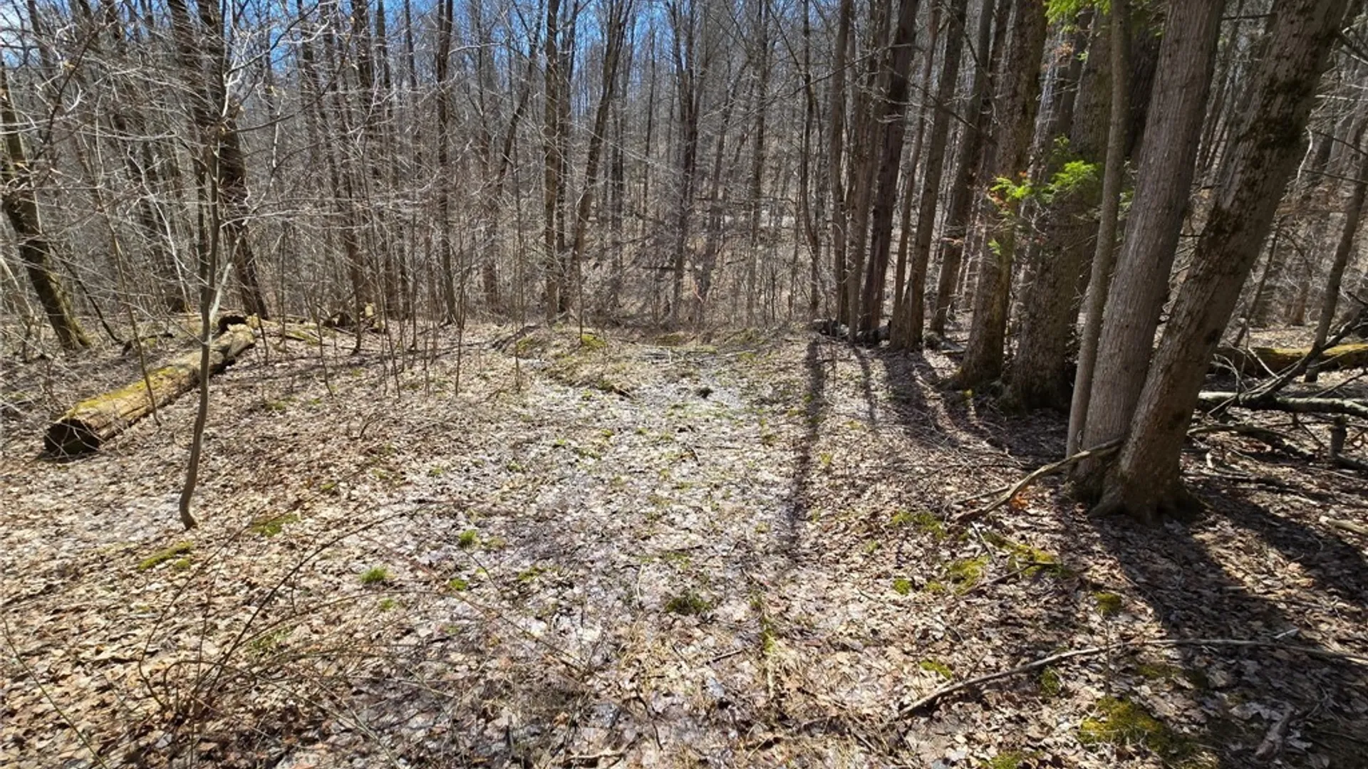 Property at 00 West Cobb Road, Poland, NY 14733 36