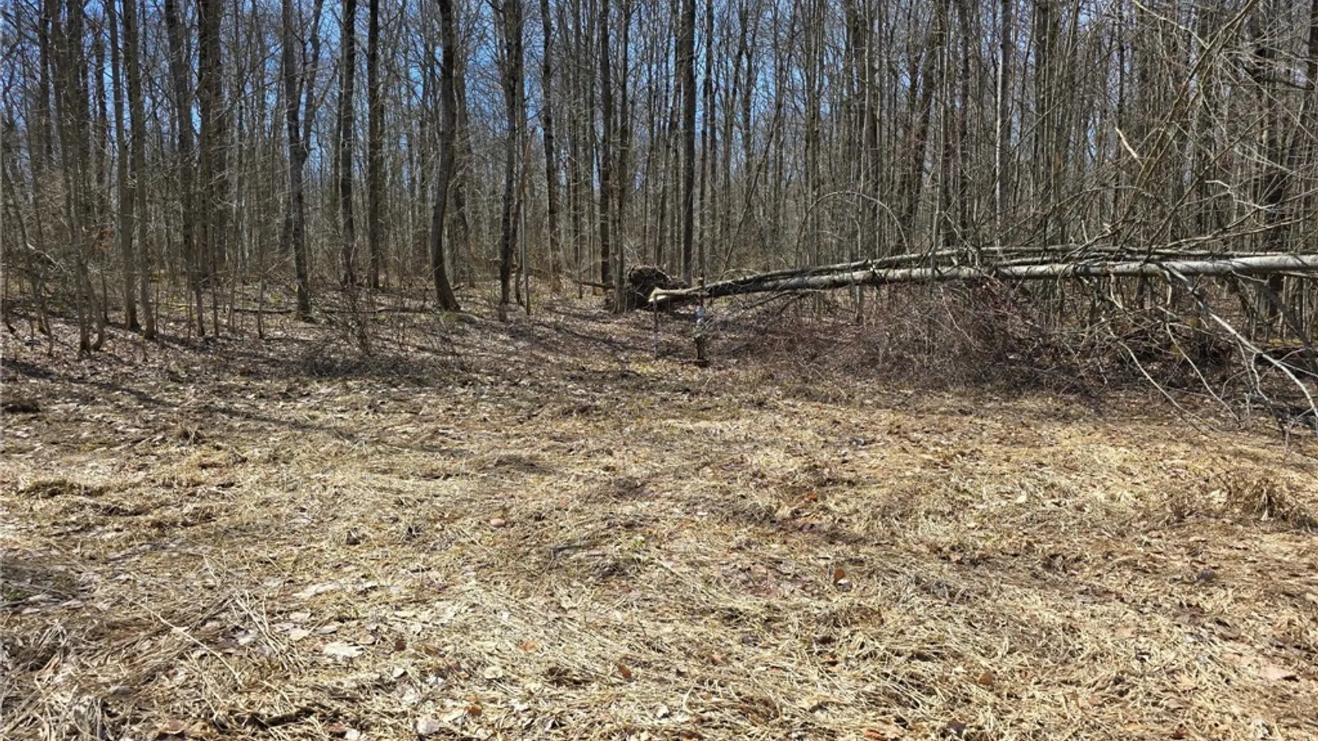 Property at 00 West Cobb Road, Poland, NY 14733 37