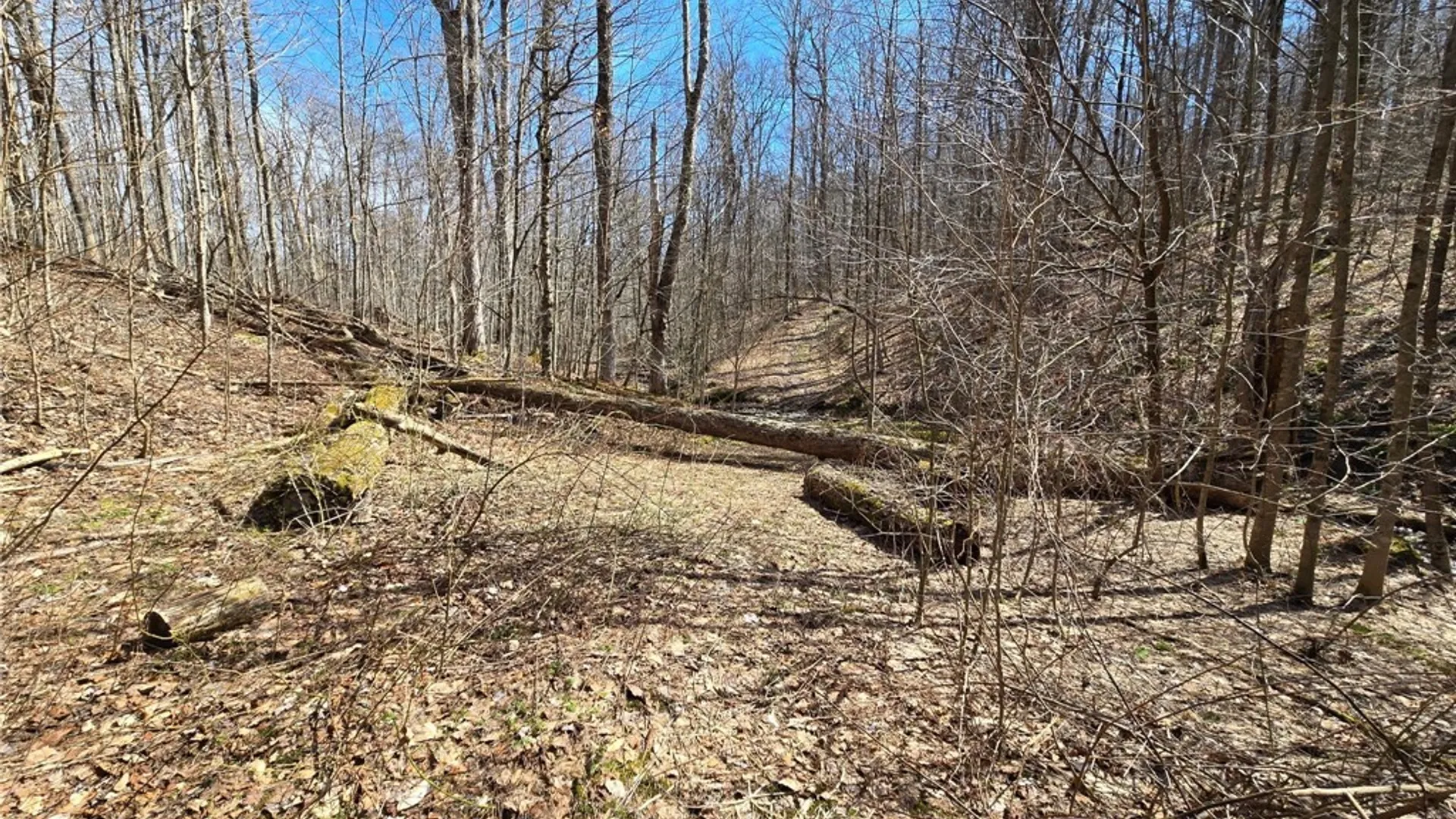 Property at 00 West Cobb Road, Poland, NY 14733 38