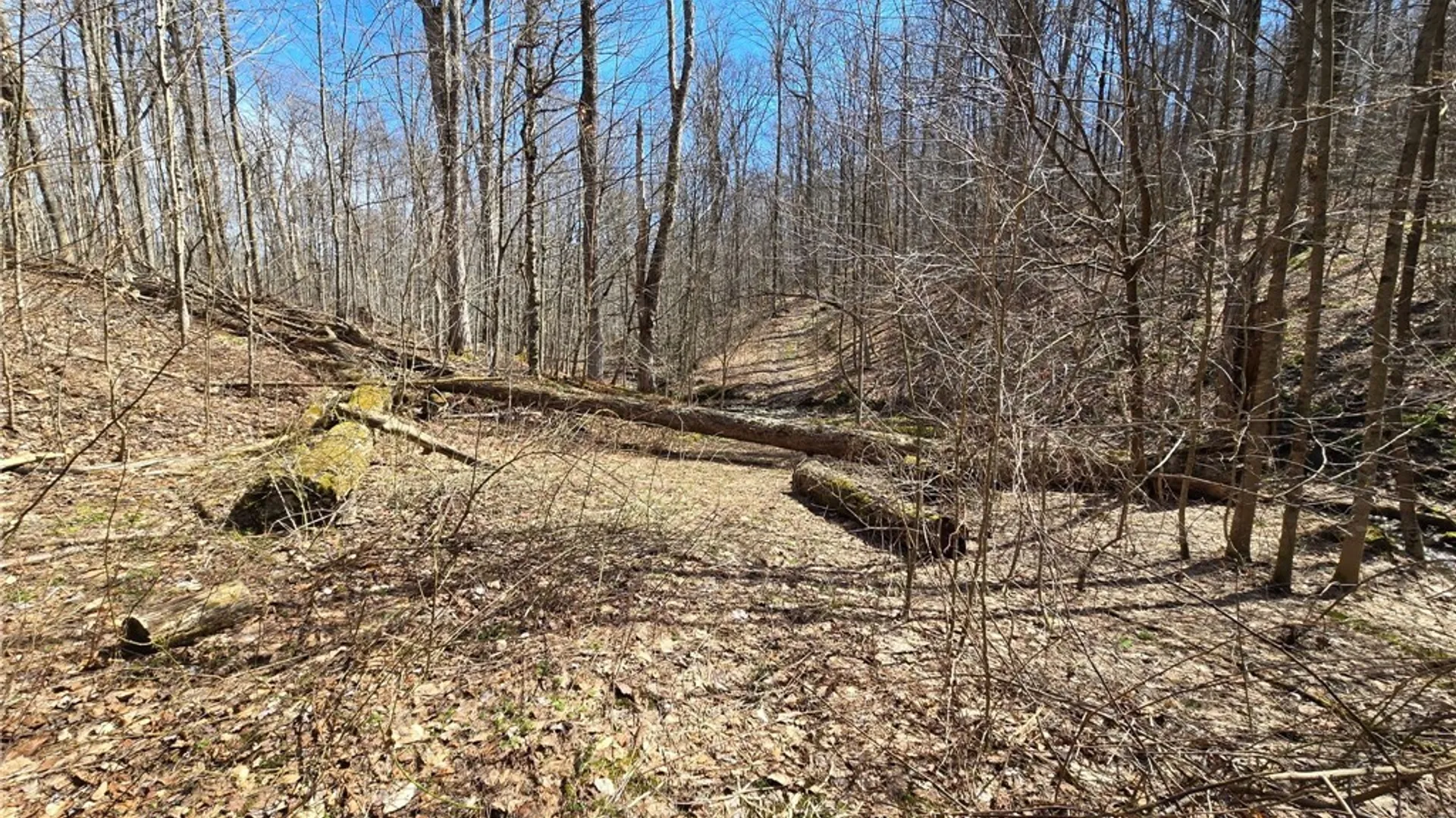 Property at 00 West Cobb Road, Poland, NY 14733 39
