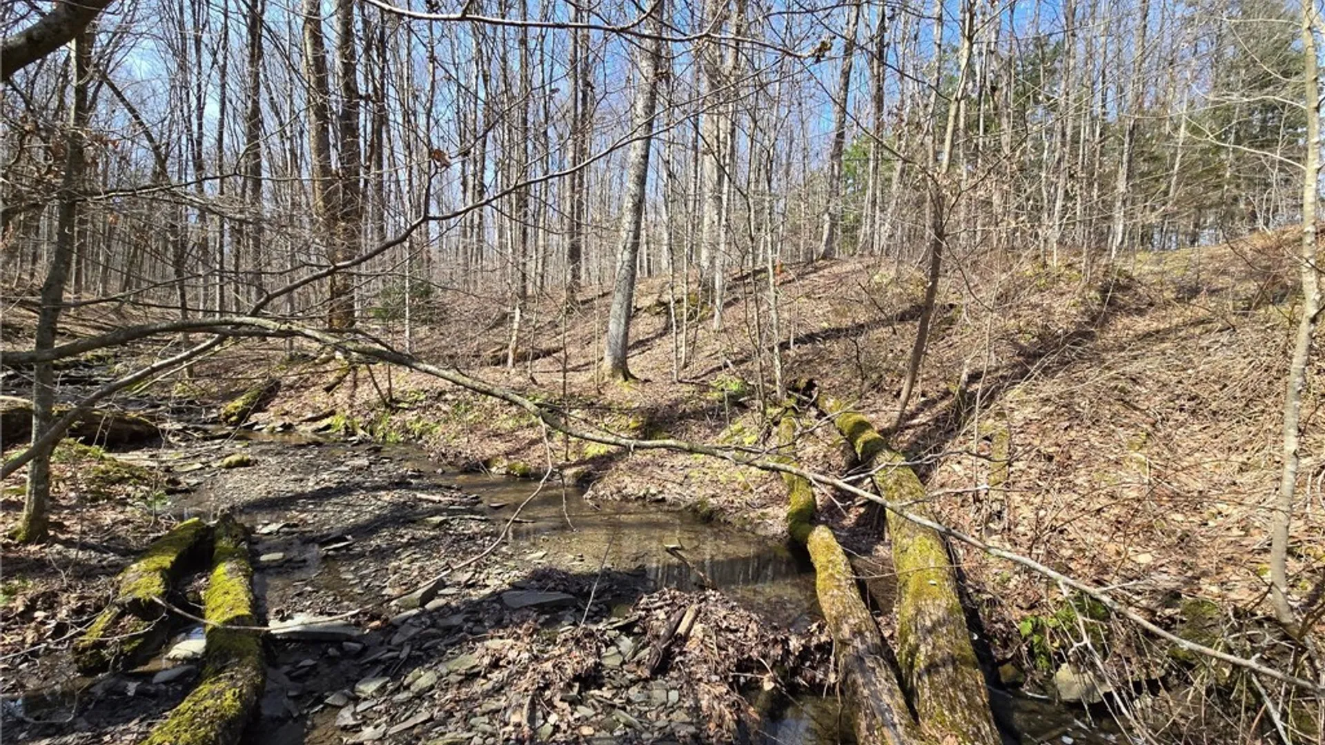 Property at 00 West Cobb Road, Poland, NY 14733 40