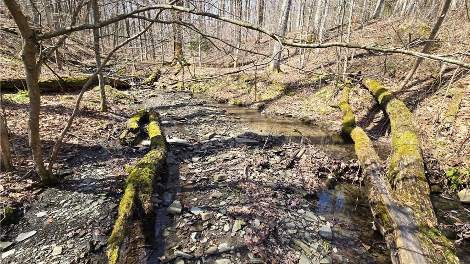 Property at 00 West Cobb Road, Poland, NY 14733 41