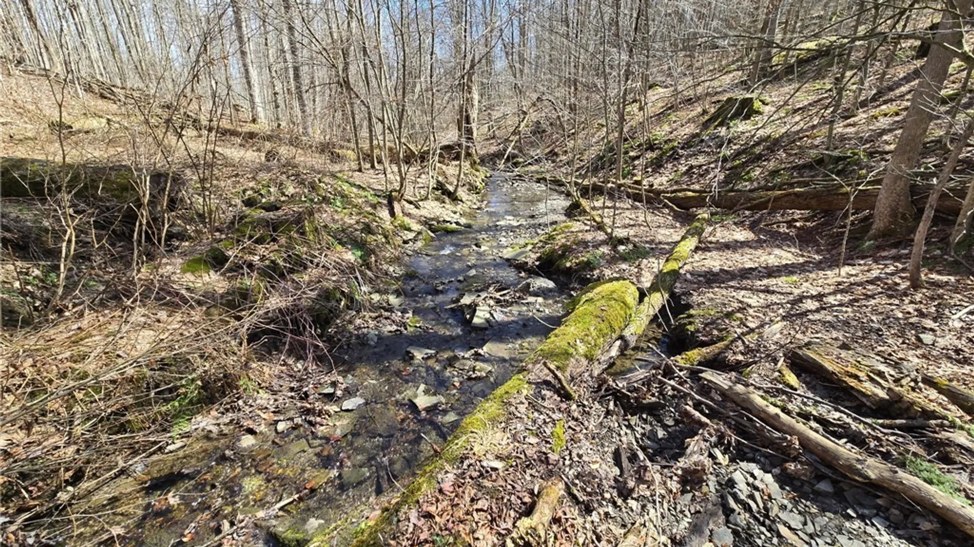 Property at 00 West Cobb Road, Poland, NY 14733 42