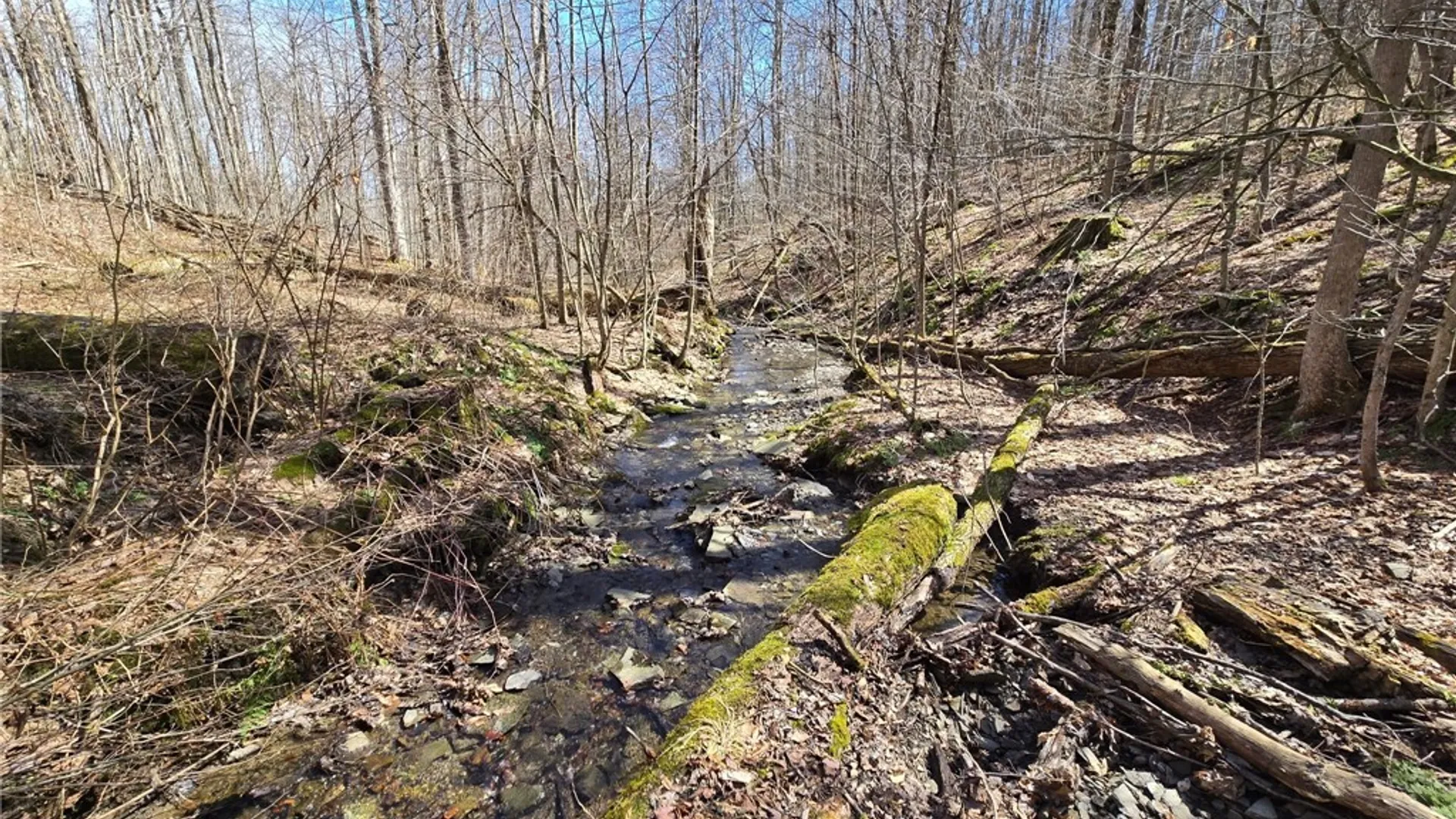 Property at 00 West Cobb Road, Poland, NY 14733 43