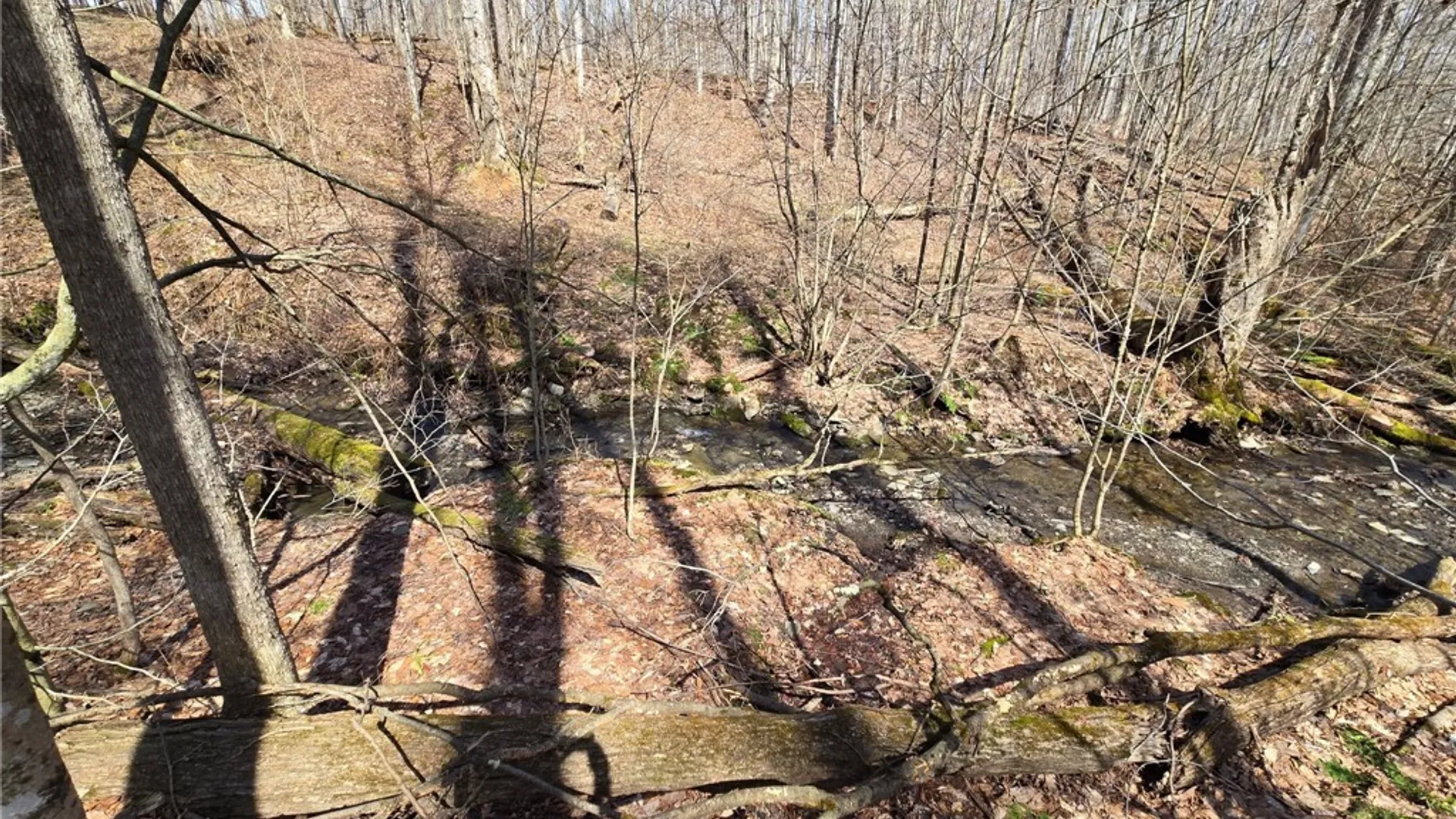 Property at 00 West Cobb Road, Poland, NY 14733 44