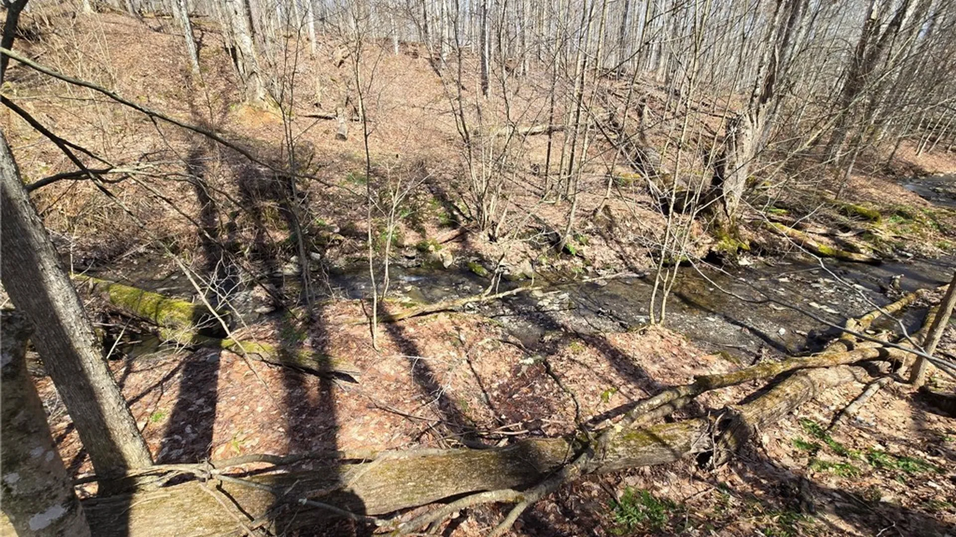 Property at 00 West Cobb Road, Poland, NY 14733 45