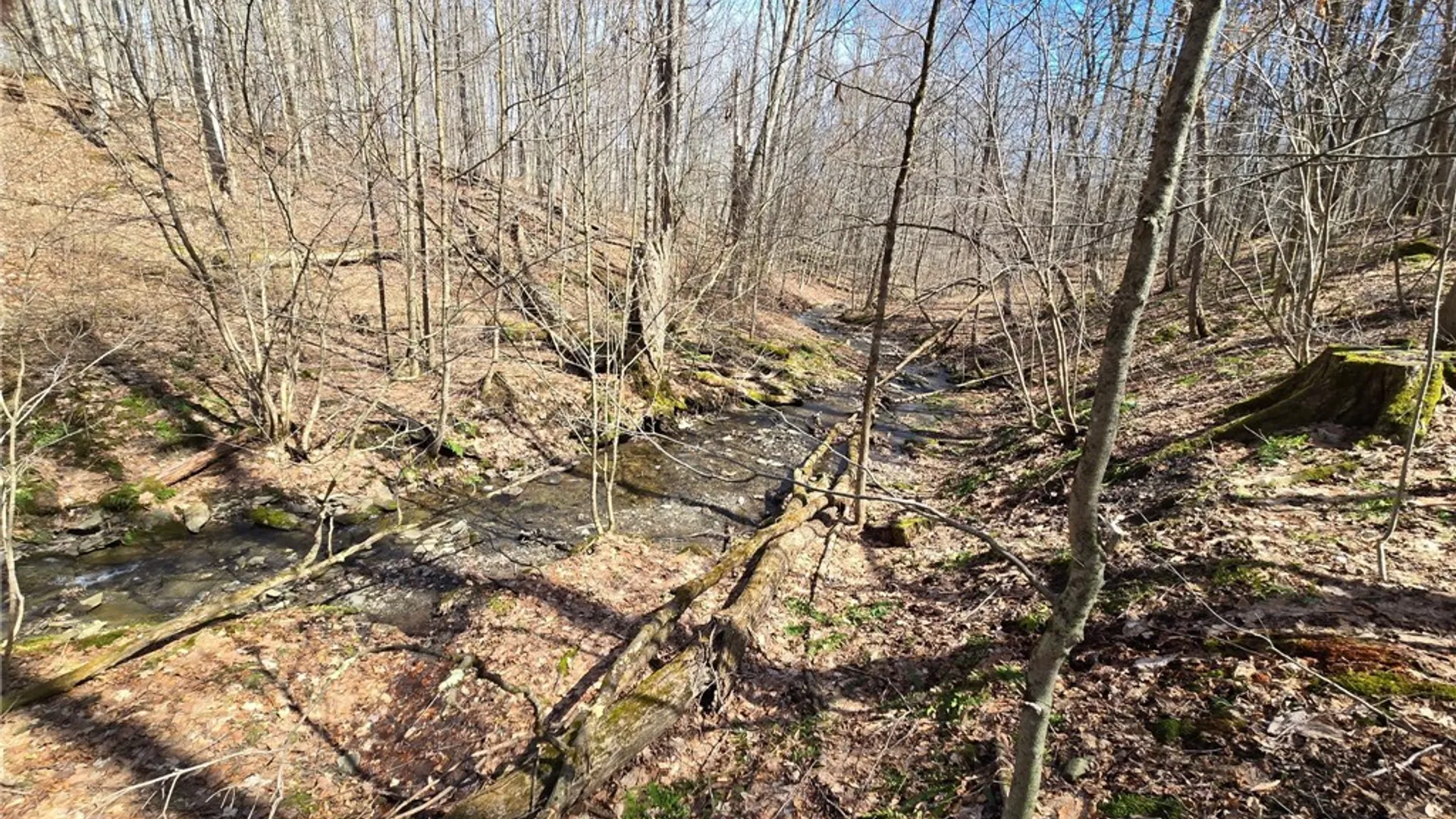 Property at 00 West Cobb Road, Poland, NY 14733 46