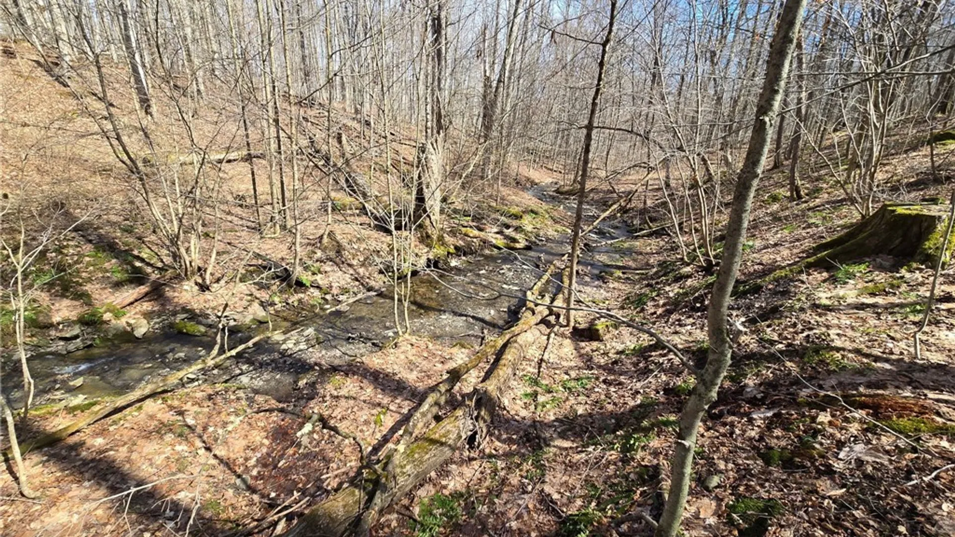 Property at 00 West Cobb Road, Poland, NY 14733 47