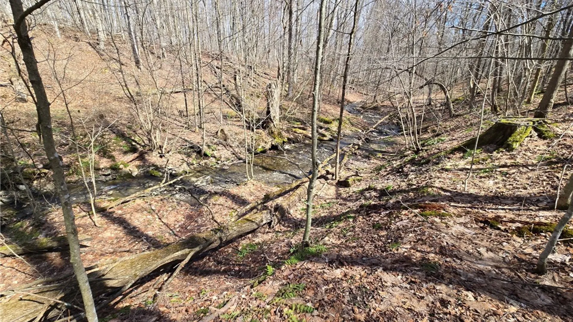 Property at 00 West Cobb Road, Poland, NY 14733 48