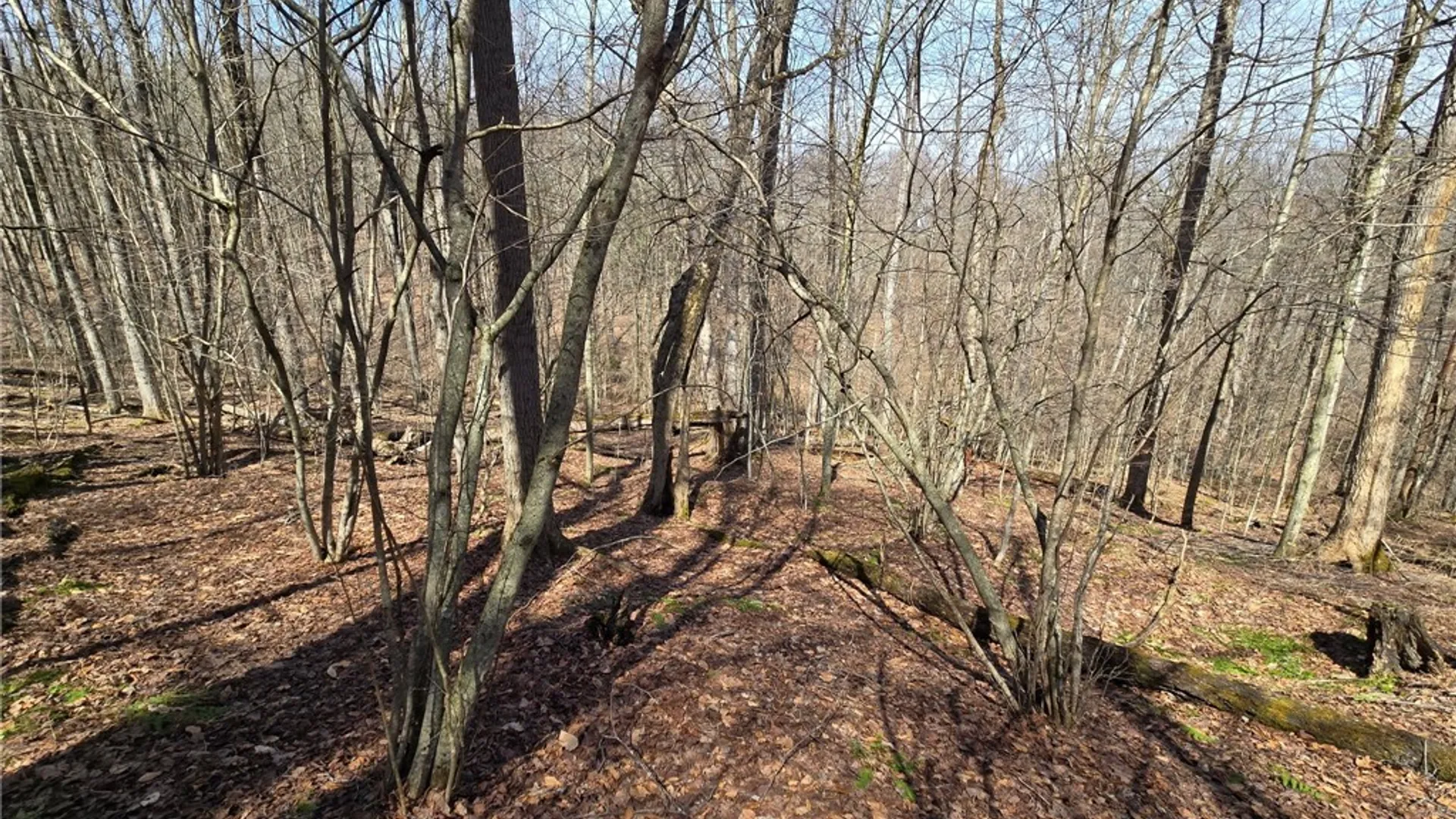 Property at 00 West Cobb Road, Poland, NY 14733 49