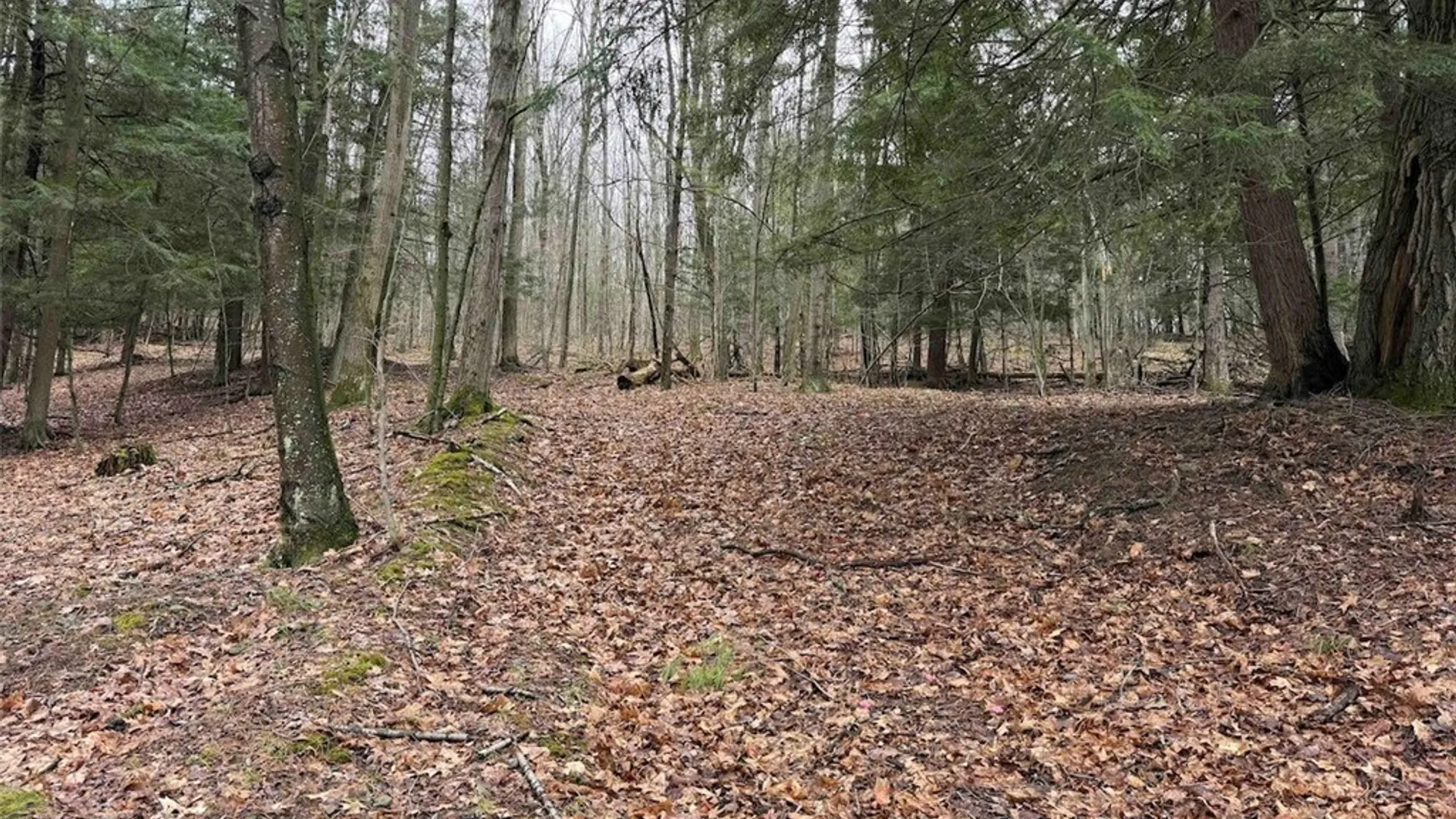 Property at McCann Hollow Road, Olean, NY 14760 20