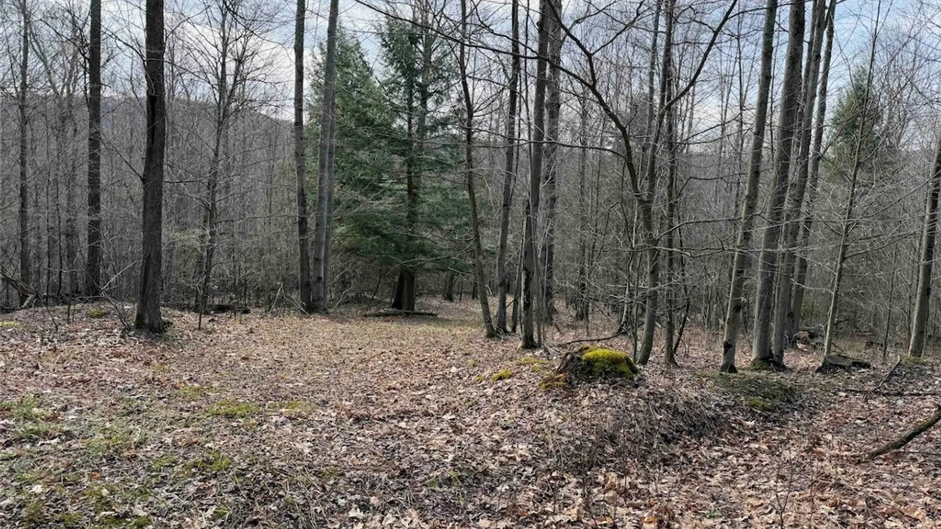 Property at McCann Hollow Road, Olean, NY 14760 28