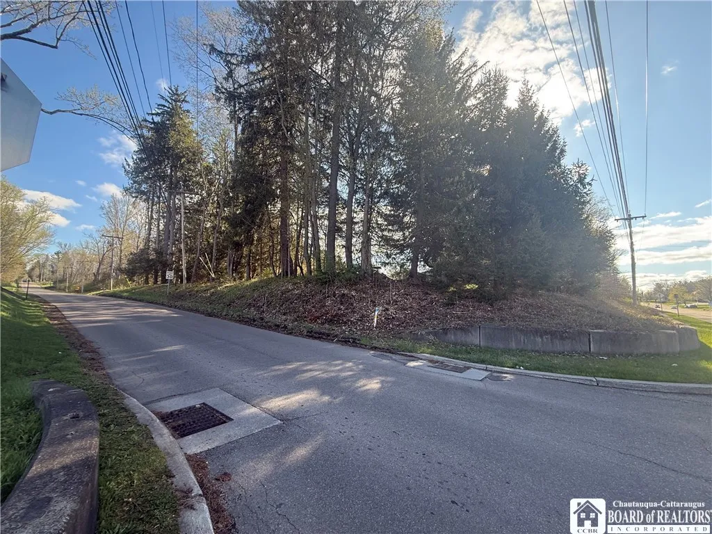 Property at 126 E Fairmount Avenue, Busti, NY 14750