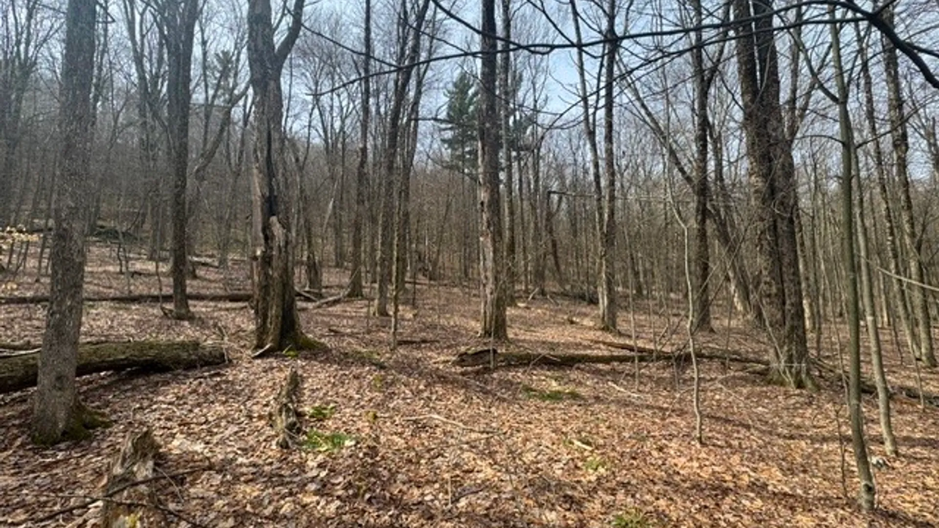 Property at 653 Frank Briggs Road, Davenport, NY 13820 21