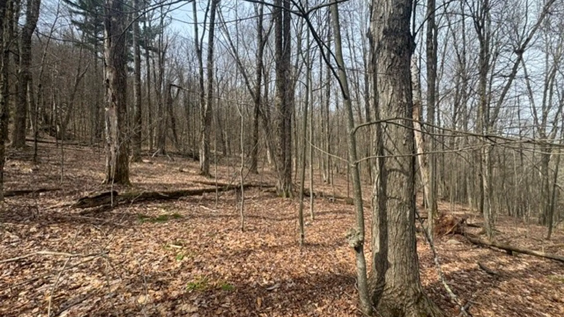 Property at 653 Frank Briggs Road, Davenport, NY 13820 22