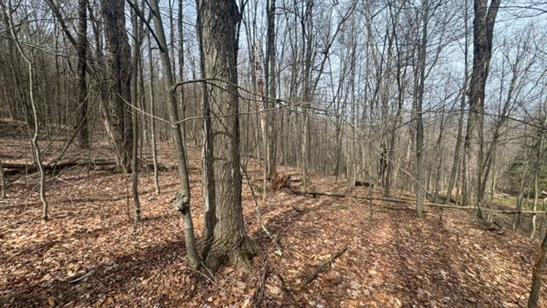 Property at 653 Frank Briggs Road, Davenport, NY 13820 23