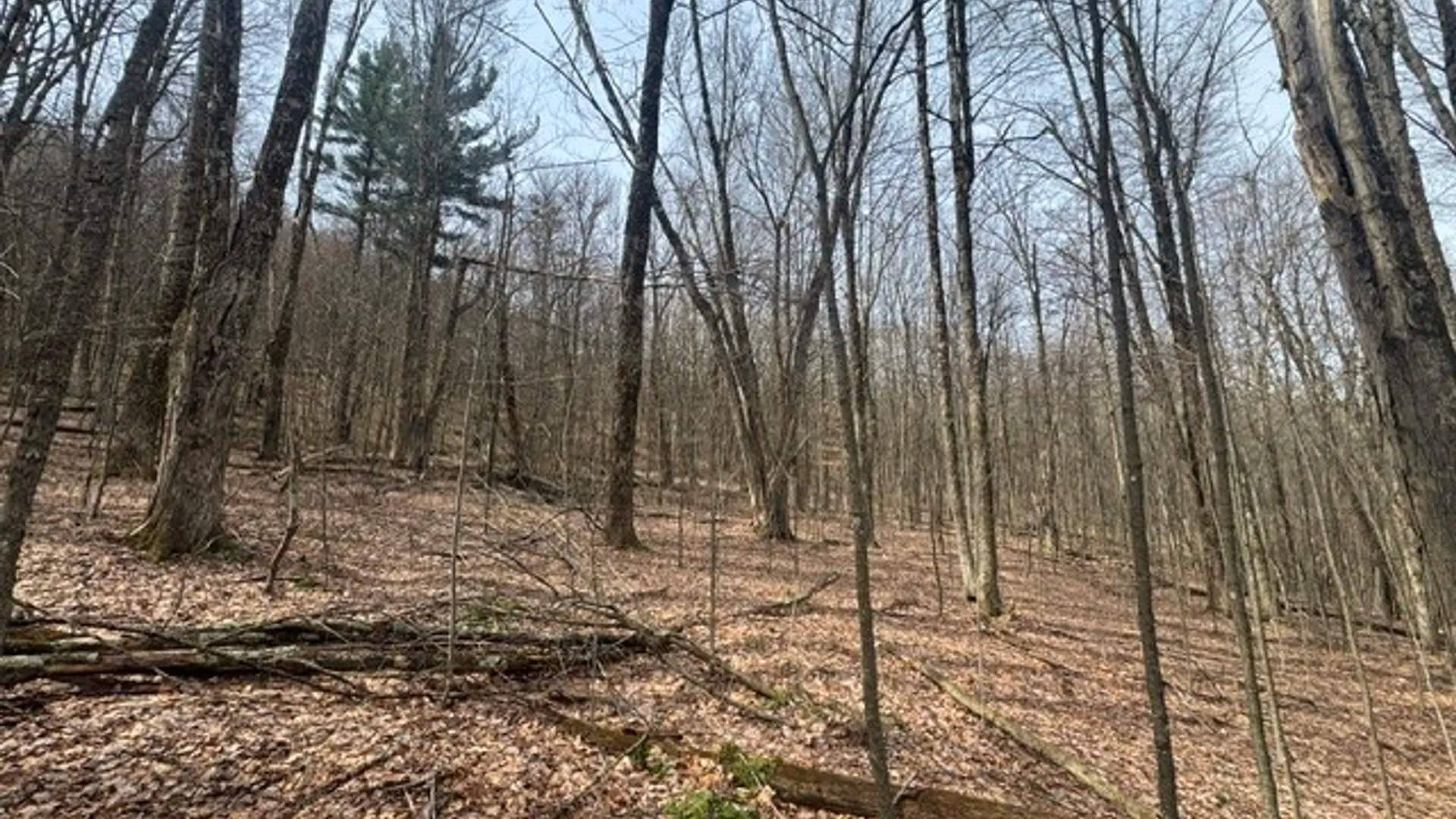 Property at 653 Frank Briggs Road, Davenport, NY 13820 24