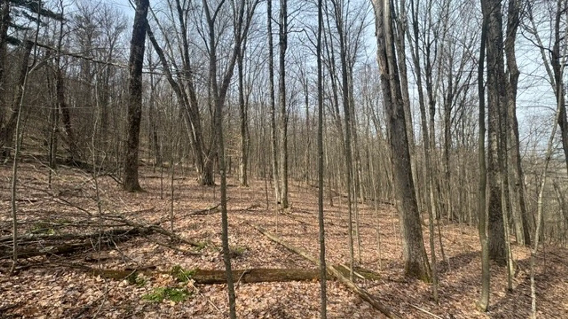 Property at 653 Frank Briggs Road, Davenport, NY 13820 25