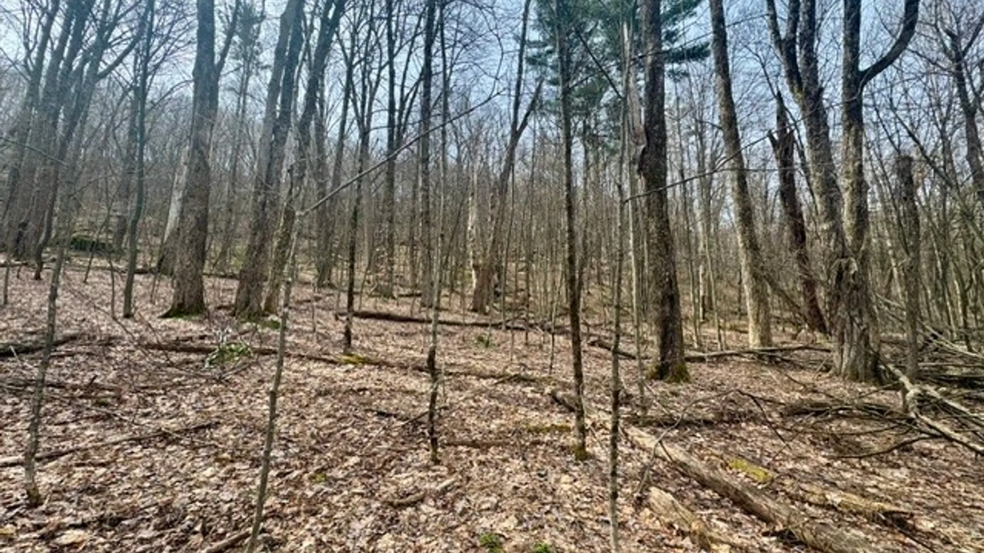 Property at 653 Frank Briggs Road, Davenport, NY 13820 26