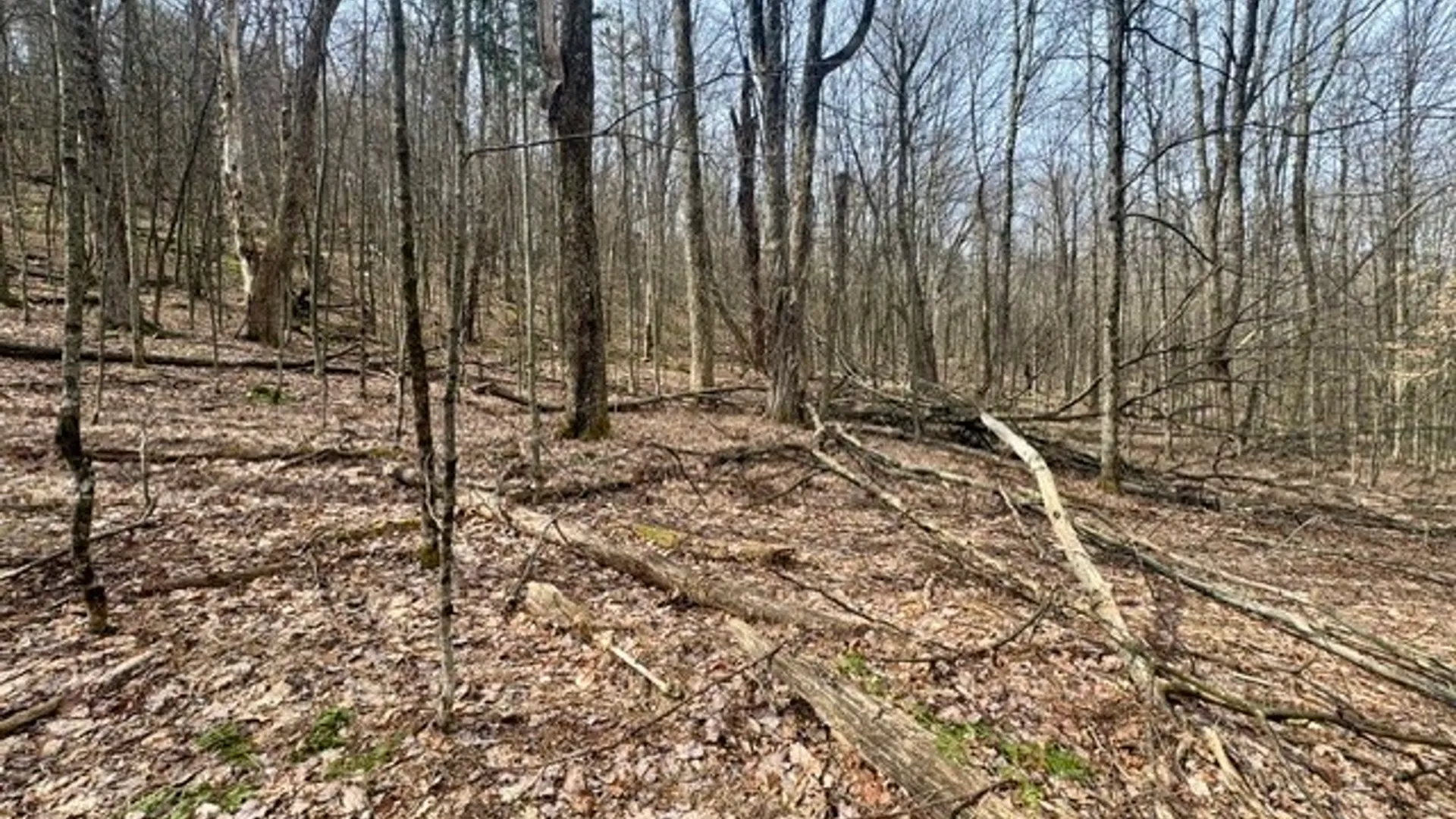 Property at 653 Frank Briggs Road, Davenport, NY 13820 27
