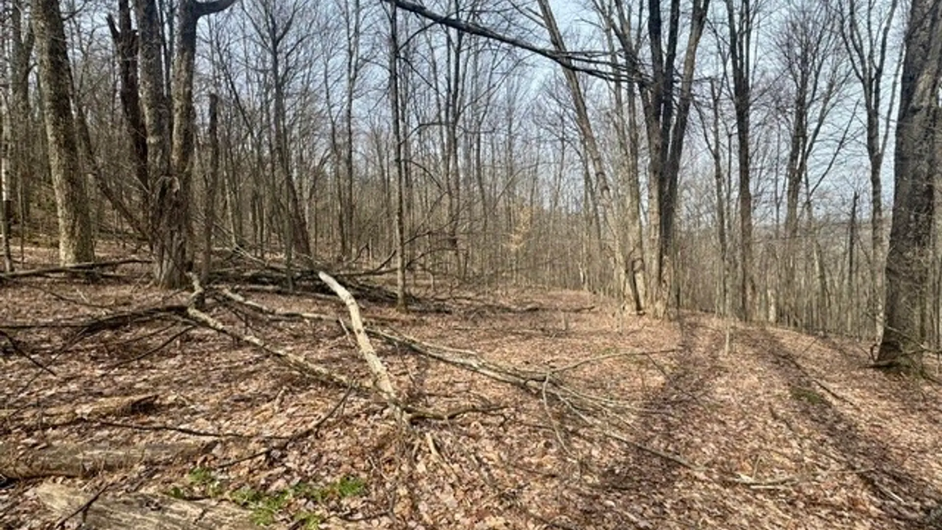 Property at 653 Frank Briggs Road, Davenport, NY 13820 28